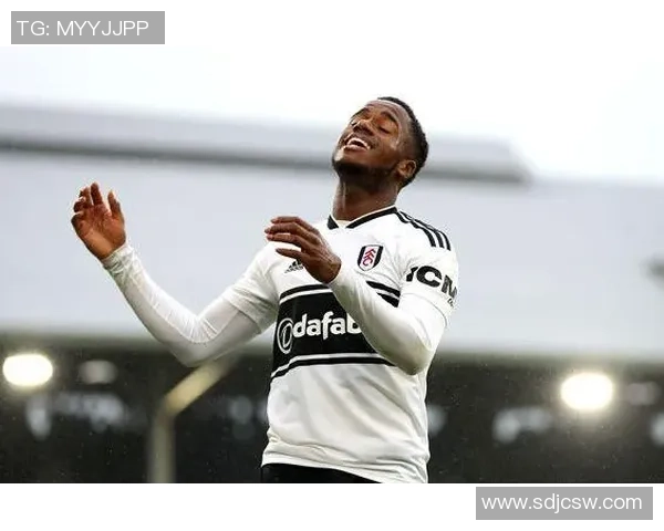 塞塞尼翁：我喜爱贝尔但不拿自己和他比较 英超强度比德甲大许多